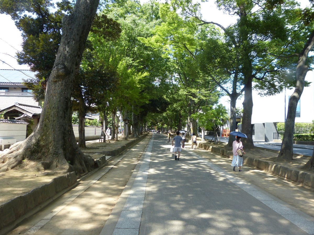 大宮氷川神社の参道(さいたま市大宮区)