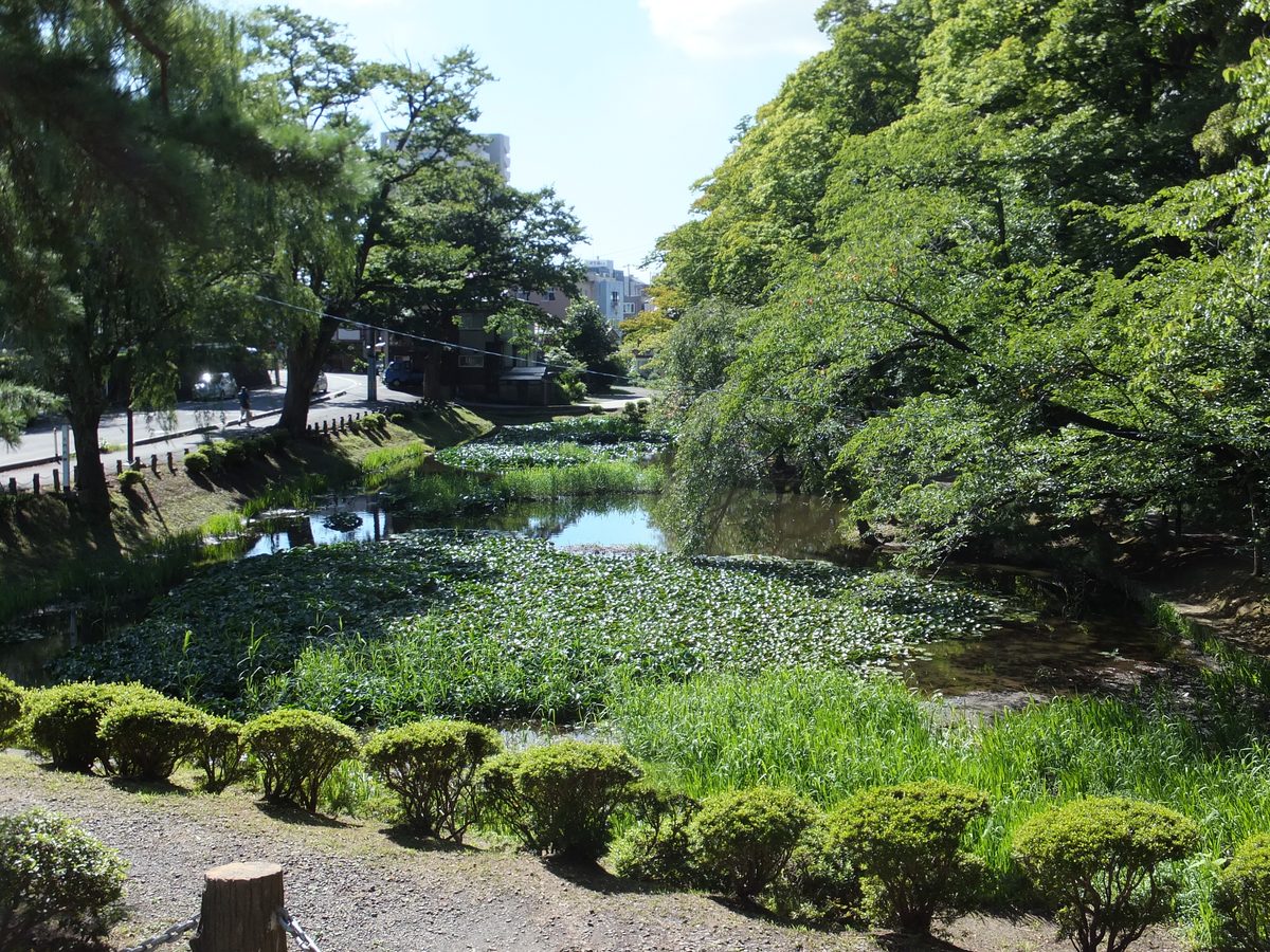 秋田市千秋公園(東北の城下町・中心街の医療圏の背景)